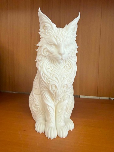 Chat maine coon 3d - chat,