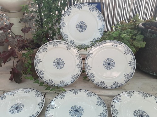 Assiettes plates - 6,