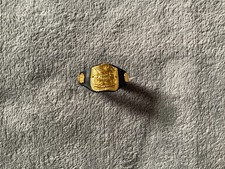 Figurine Ceinture Catch Wwe