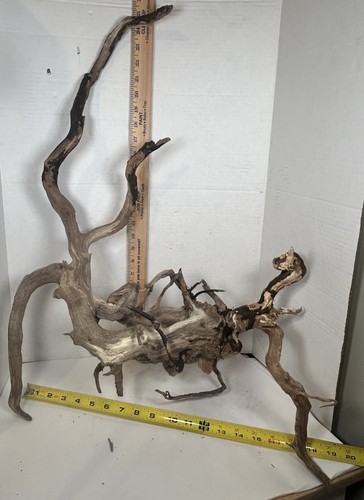 Driftwood root spiderwood - driftwood,
