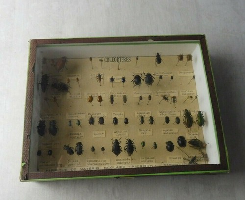 Ancienne vitrine cadre sous - vitrine,