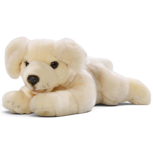 Carl dick golden retriever - dick,