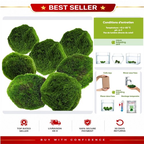 Boules marimo aquarium lot - marimo,