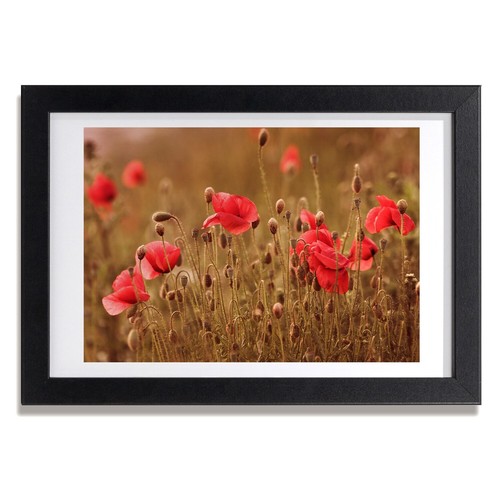 Tulup photo 30x20cm cadre - tulup, le