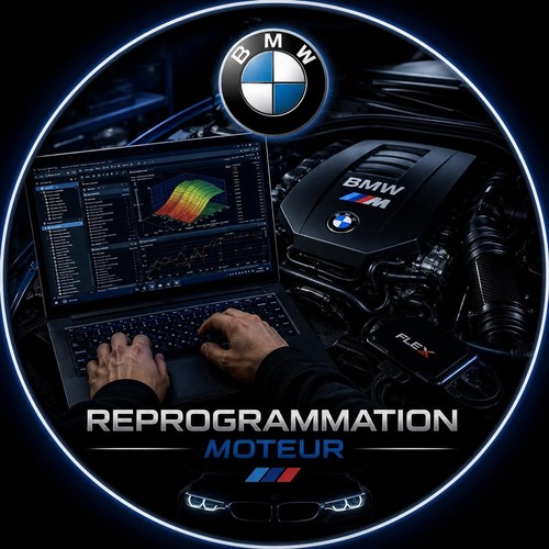Reprogrammation moteur - reprogrammation,