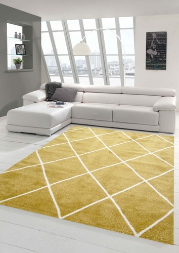 Tapis salon design - salon,