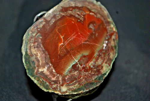 Agates fréjus - de, )