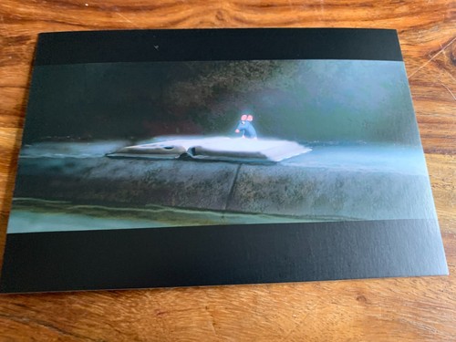 Carte postale 15x10 tbe - carte,