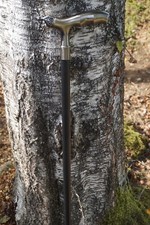 774.2417 SUPERBE CANNE