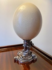 oeuf d'autruche cabinet de