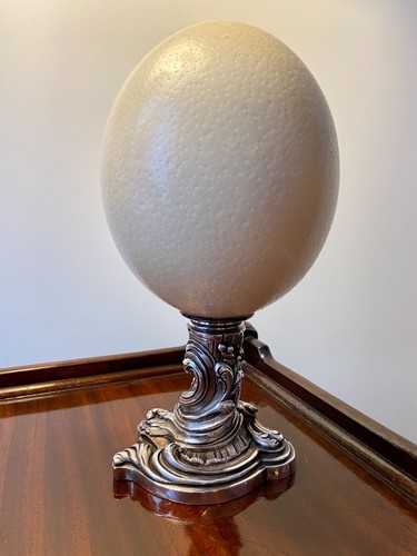 Oeuf autruche cabinet de - oeuf, d'autruche