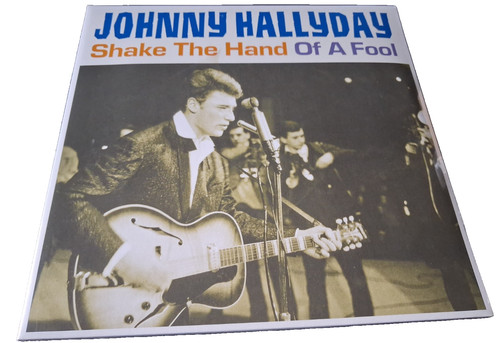 Johnny hallyday double - johnny,