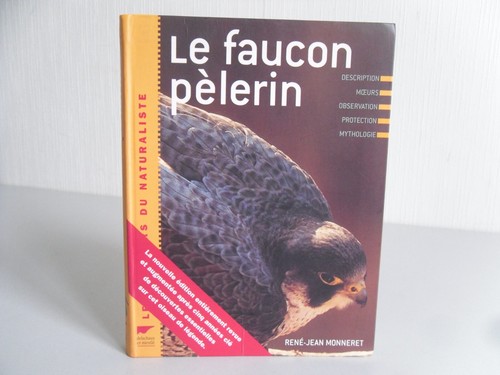 Faucon pèlerin rené jean - le,