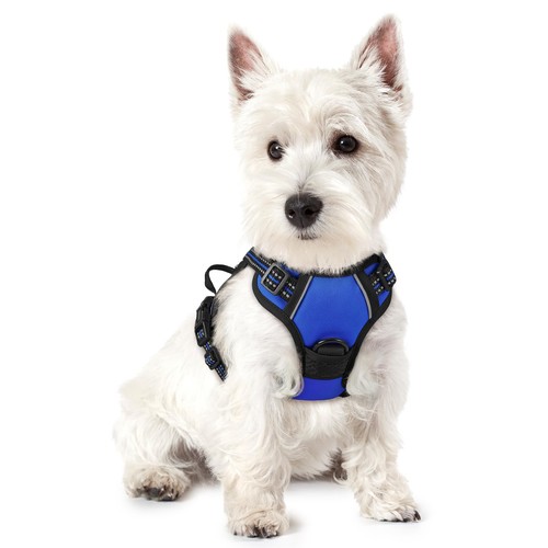 Harnais pour petit chien