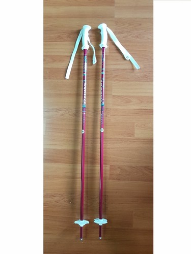 Rossignol paire petits - paire,