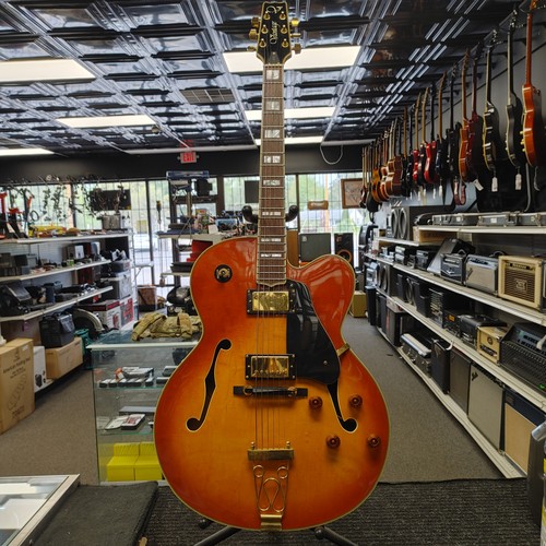 Vantage 655 acoustic electric - vantage,