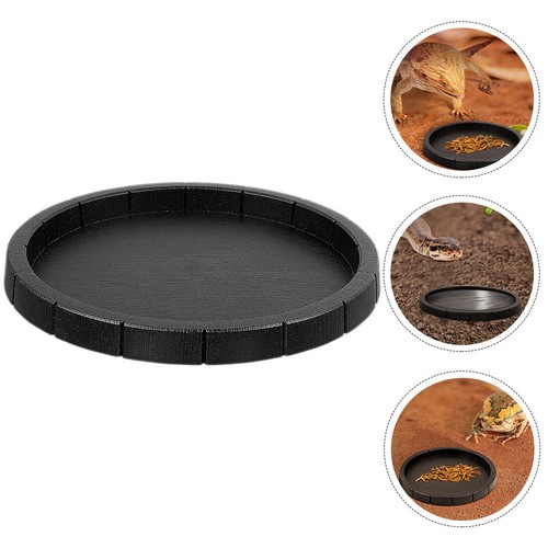 Plat eau tortue - de,