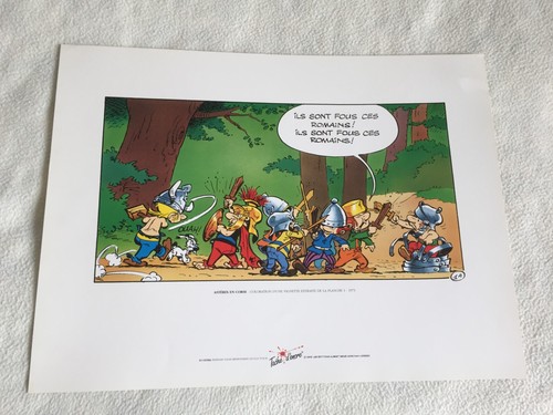 Sérigraphie astérix corse - en,