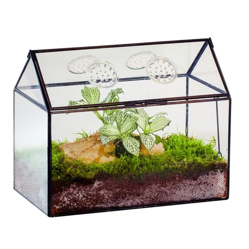 Glass terrarium with lid and - terrarium,