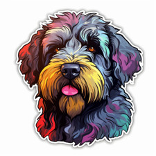 10 x autocollants de voiture