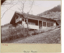 Switzerland, Vintage Chalet Print.  Citrate Print 11x16 Circa 1900 <di