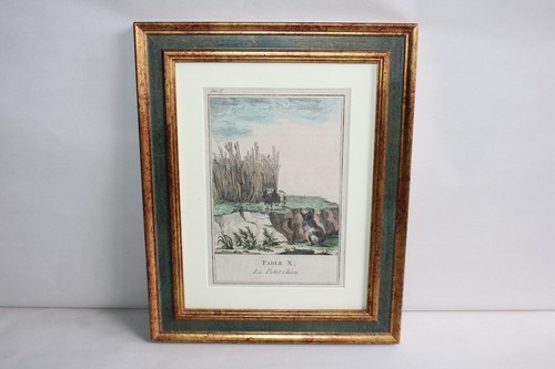 Ancienne gravure réhaussée