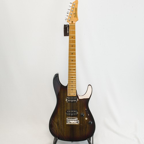 Guitare western ibanez - western,