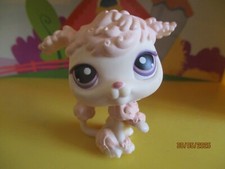 Petshop dog poodle #390 / with magnet