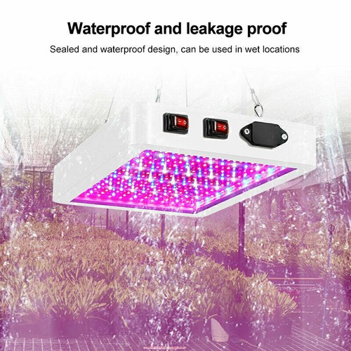 Lampes culture led - de, à