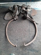 Griffes d'élagage à Poteaux