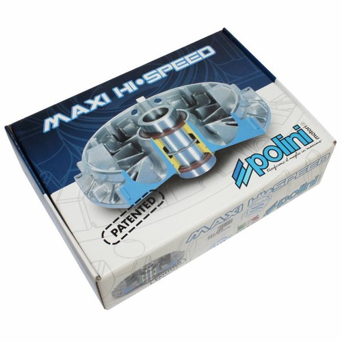 Variateur maxiscooter polini