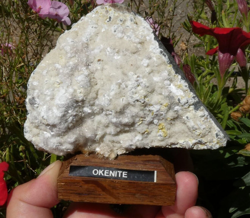 Okénite 10x7cm malad inde - malad,