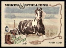 2019 Topps Allen & Ginter