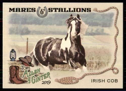 2019 topps allen - allen, ginter