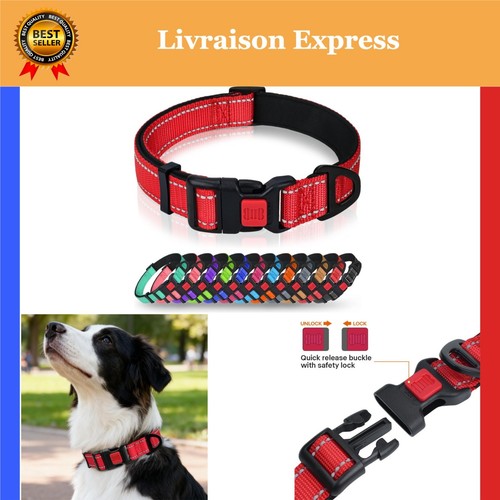 Collier chien réfléchissant - collier,