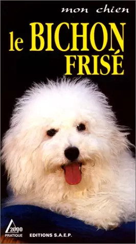 Bichon frisé marie luce - frisé,, marie-luce