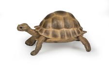 Papo 50264 Tortue Hermann 8 Cm