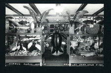 Arnold's Park Iowa IA c1939 RPPC Harry's Kurio Kastle Gift Shop, Mounted Animals