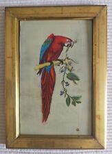 TABLEAU - peinture à l'huile originale - le perroquet