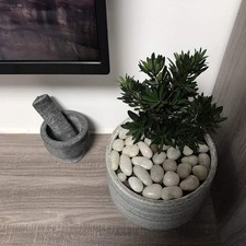 Grands Galets Blancs Pour Le Jardin Et La Décoration D'Intérieur 220G