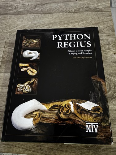 Niv python regius atlas - regius, morphs