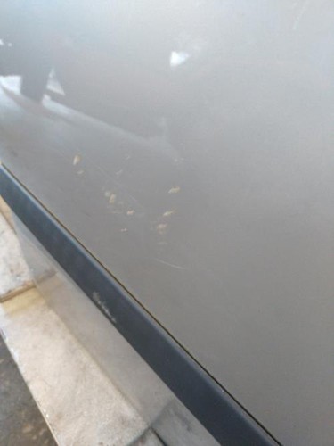Porte avant droit renault - droit,