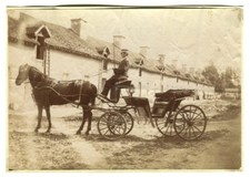 Calèche , cheval , cocher -