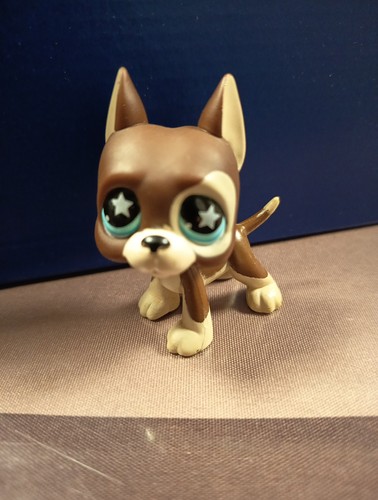 Authentic lps littlest petshop - authentic,