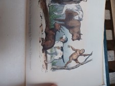 livre ancien rare
