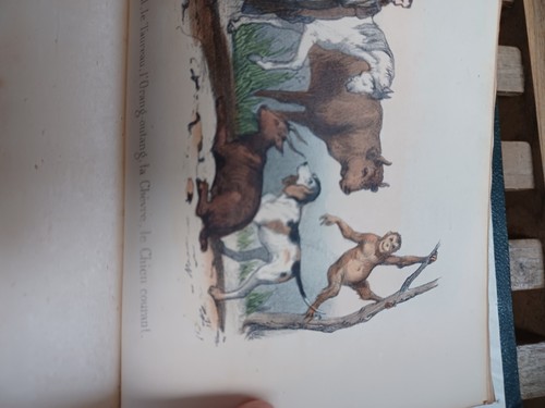 Livre ancien rare - ancien,