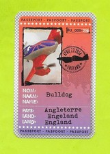 Carte Cora / Match - Planes -