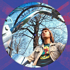 Johnny Hallyday 71 PICTURE VINYLE 33T