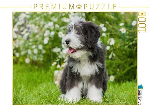 Calvendo puzzle bearded - calvendo,