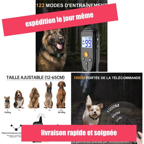 Collier dressage chien - collier,